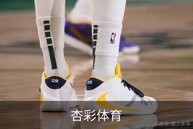 杏彩体育企业介绍展示图